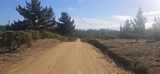 Parcela en Venta en Condominio Alto Pichilemu | 5.000 m² con Rol Propio