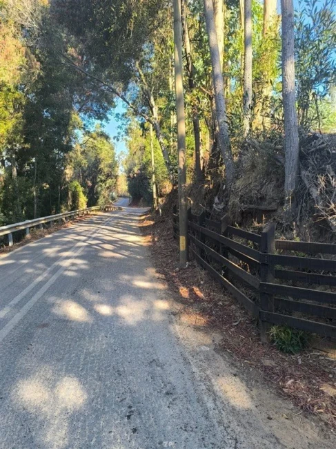 Parcelas en Venta Hacienda El Quillay, Pichilemu | 5.000 m² con Rol Propio