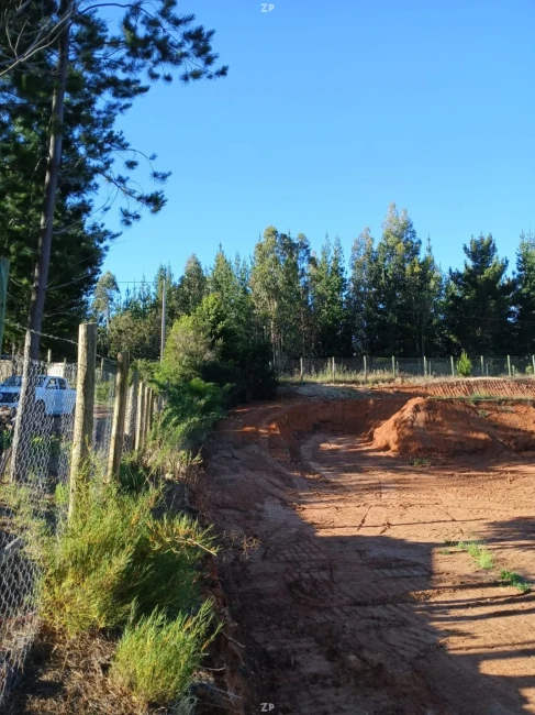 Parcela en Venta en Lomas de Pichilemu, Pailimo | 7.500 m² Cercada Rol Propio