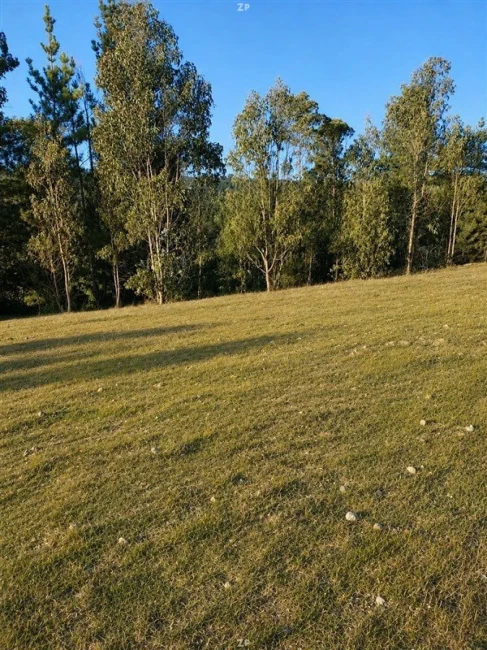 Parcelas en Venta Hacienda El Quillay, Pichilemu | 5.000 m² con Rol Propio