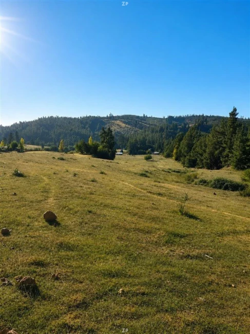 Parcelas en Venta Hacienda El Quillay, Pichilemu | 5.000 m² con Rol Propio