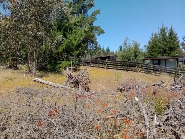 Parcela en Venta en San José de Cáhuil, Pichilemu | 5.000 m² con Vista al Mar y 