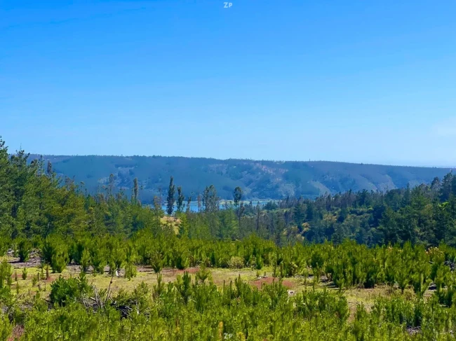 Parcelas en Venta en Pañul, Pichilemu | 5.000 m² con Rol Propio y Vista a Laguna