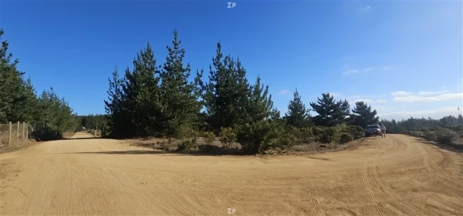 Parcela en Venta en Condominio Alto Pichilemu | 5.000 m² con Rol Propio