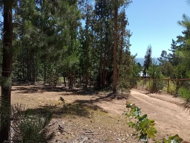 Parcela en Venta en San José de Cáhuil, Pichilemu | 5.000 m² con Vista al Mar y 