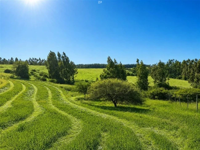 Parcelas en Venta en Poza Las Garzas, Marchigüe | 5.000 m² Cerca de Pichilemu