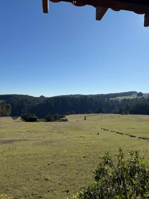Parcela en Venta Frente al Mar en Laguna del Perro, Pichilemu | 6,22 Hectáreas