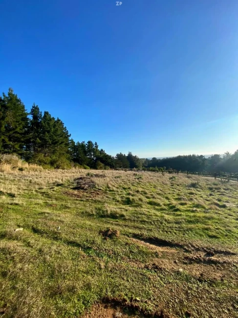 Parcela en Venta en Condominio Reserva Los Maquis, Pichilemu | 5.000 m²