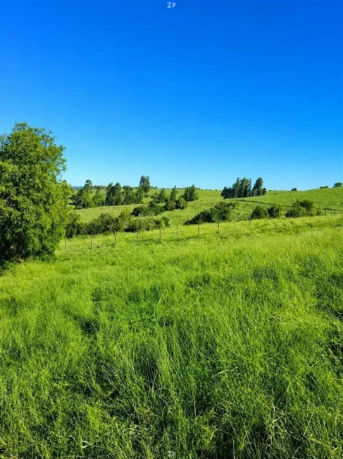 Parcelas en Venta en Poza Las Garzas, Marchigüe | 5.000 m² Cerca de Pichilemu