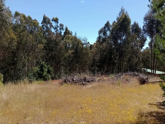 Parcela en Venta en San José de Cáhuil, Pichilemu | 5.000 m² con Vista al Mar y 