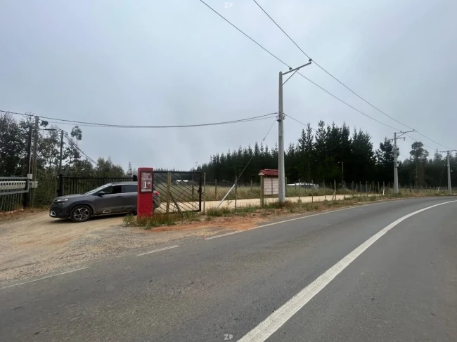 Parcela en Venta en Lomas de Pichilemu | 5.000 m² Plana con Bosque Nativo