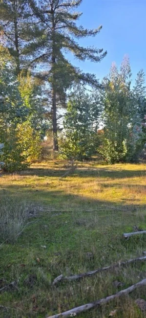 Parcelas en Venta Fundo Pailimo, Litueche | 5.000 m² con Rol Propio