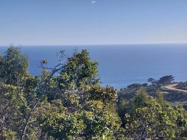 Parcela en Venta en Pichilemu | 5.000 m² con Vista al Mar y Acceso a la Playa  D