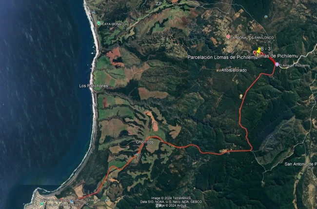 Parcela en Venta en Lomas de Pichilemu | 5.000 m² Plana con Bosque Nativo