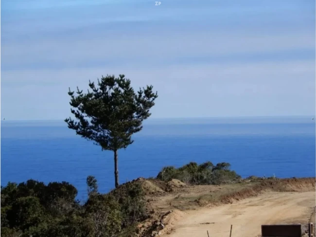 Parcela en Venta en Quincheumo, Pichilemu | 5.000 m² con Vista Panorámica al Mar