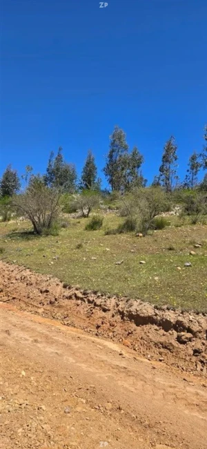 Parcelas en Venta Fundo Pailimo, Litueche | 5.000 m² con Rol Propio