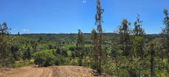 Parcelas en Venta Fundo Pailimo, Litueche | 5.000 m² con Rol Propio