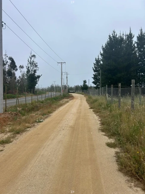 Parcela en Venta en Lomas de Pichilemu | 5.000 m² Plana con Bosque Nativo