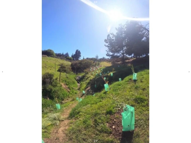 Parcela en Venta en Condominio Olas de Punta Lobos, Pichilemu | 1.000 m²