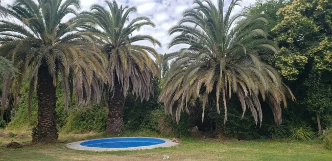 Casa en Venta en Camino El Cerrillo, Linderos, Buin | Parcela de 10.000 m²