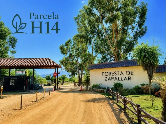 Parcela Premium En Foresta Zapallar | Seguridad, Naturaleza