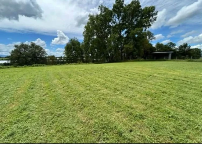 Se vende parcela 5000 m2 a 5 minutos de Rio Bueno