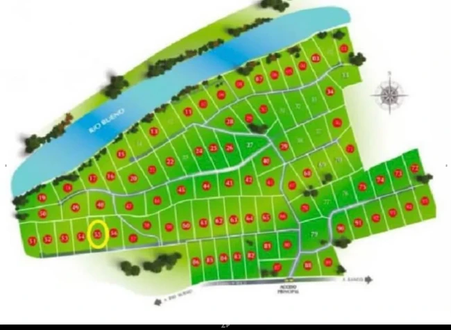Se vende parcela 5000 m2 a 5 minutos de Rio Bueno