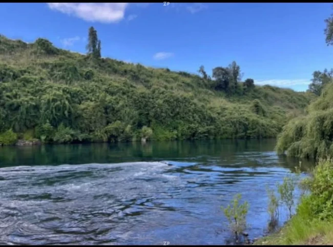 Se vende parcela 5000 m2 a 5 minutos de Rio Bueno