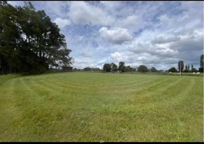 Se vende parcela 5000 m2 a 5 minutos de Rio Bueno