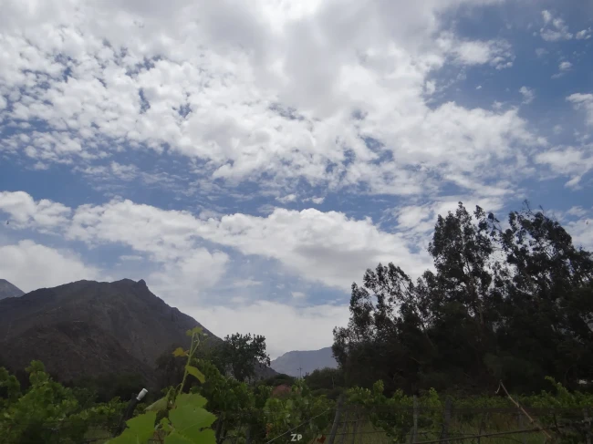 Parcelas en Venta vicuna – Valle de Elqui | 5.000 m²