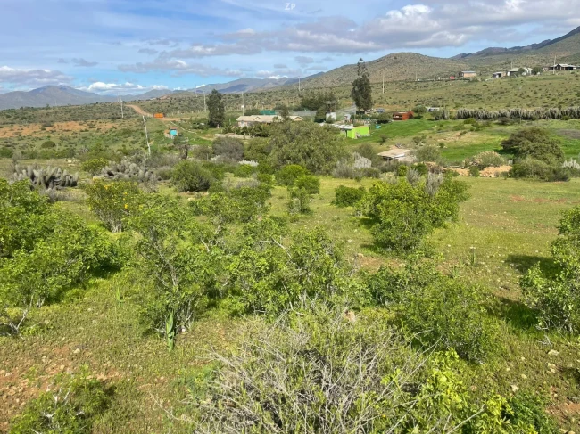 Parcelas Aguas Buenas Ovalle 5.000 m² | Desde $14 Millones