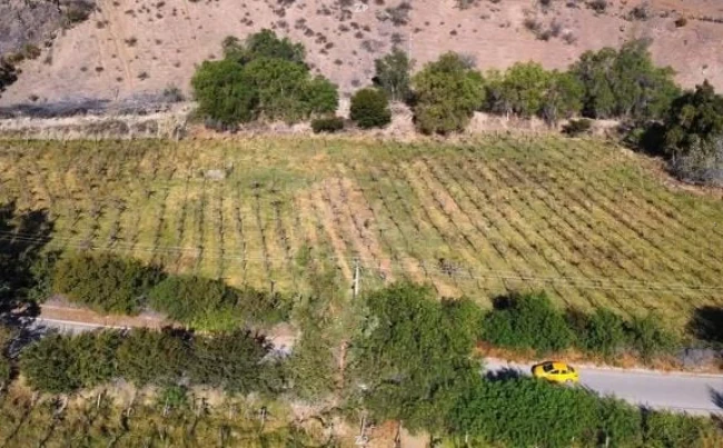 Parcelas en Venta vicuna – Valle de Elqui | 5.000 m²