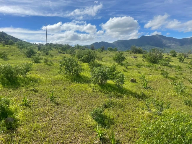Parcelas Aguas Buenas Ovalle 5.000 m² | Desde $14 Millones