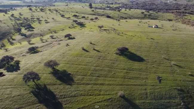 Parcela 5.000 m² a 5 minutos de Yumbel – Loteo Privado