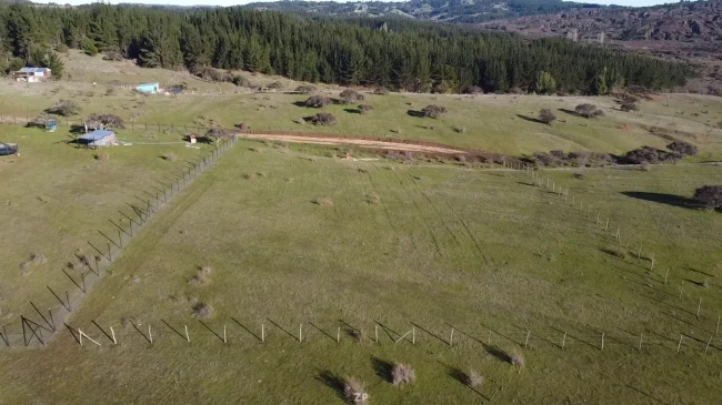 Parcela 5.000 m² a 5 minutos de Yumbel – Loteo Privado