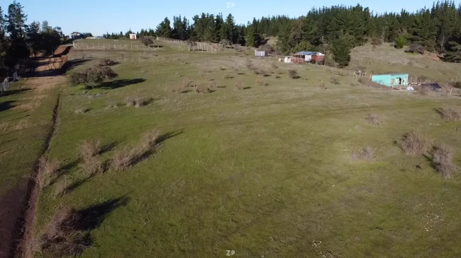 Parcela 5.000 m² a 5 minutos de Yumbel – Loteo Privado