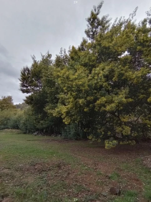 Vendo Parcela con Rio sector Guamaqui Galvarino