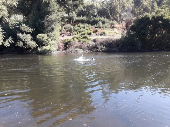 Vendo Parcela con Rio sector Guamaqui Galvarino
