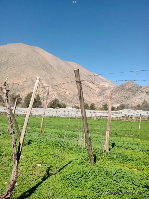 🌿 TERRENO AGRÍCOLA EN VENTA – PERALILLO, VICUÑA |1,2 HA + 1,51 ACCIONES DE ÁGUA