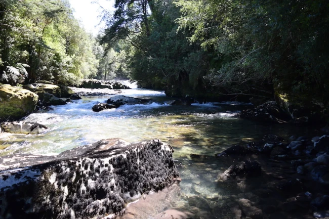 Hornopiren ,Terreno Orilla de Rio.-