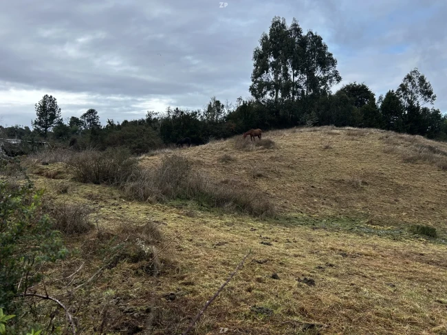 Ilque Puerto Montt,Parcela Orilla de Camino.-