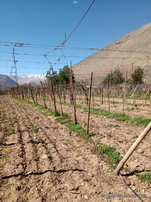 🌿 TERRENO AGRÍCOLA EN VENTA – PERALILLO, VICUÑA |1,2 HA + 1,51 ACCIONES DE ÁGUA