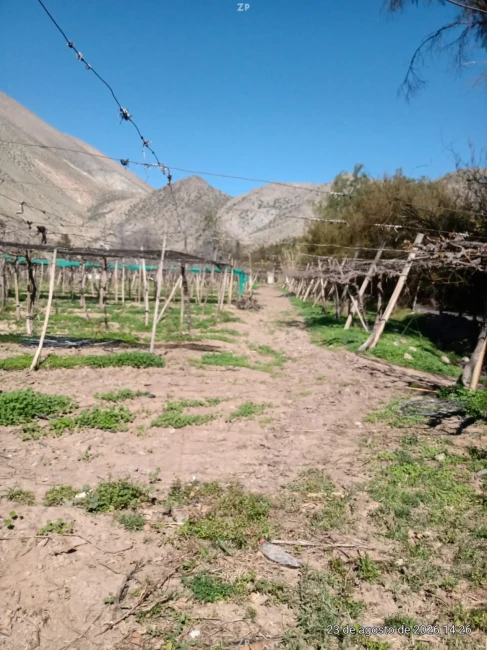 🌿 TERRENO AGRÍCOLA EN VENTA – PERALILLO, VICUÑA |1,2 HA + 1,51 ACCIONES DE ÁGUA