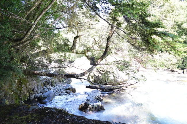 Hornopiren ,Terreno Orilla de Rio.-