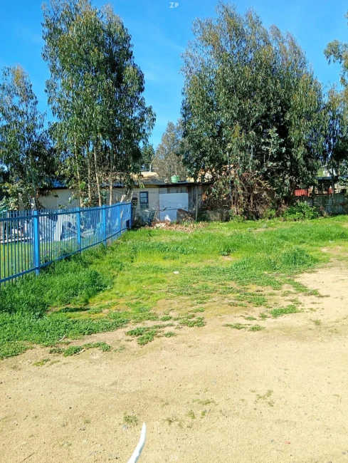 SITIO EN VENTA – EL TABO DE 200 M² - DUEÑO DIRECTO SIN COMISIÓN