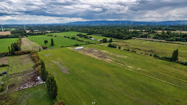 Campo Agrícola en Venta en Bellavista | 31,4 Hectáreas