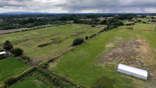 Campo Agrícola en Venta en Bellavista | 31,4 Hectáreas