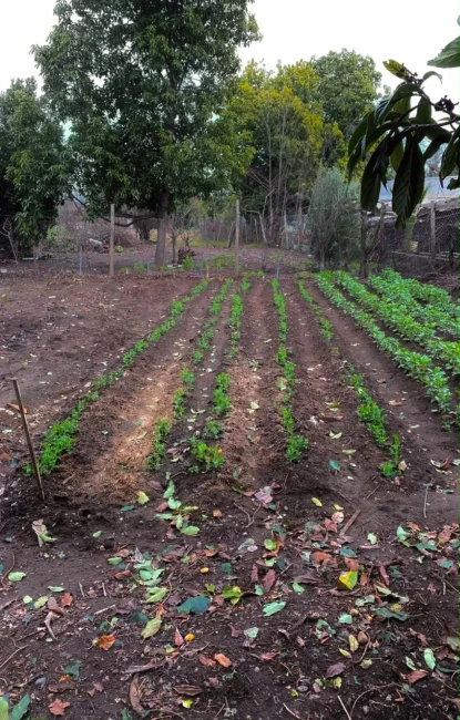 Amplia Propiedad en Villa Alegre Con Excelente Conectividad.