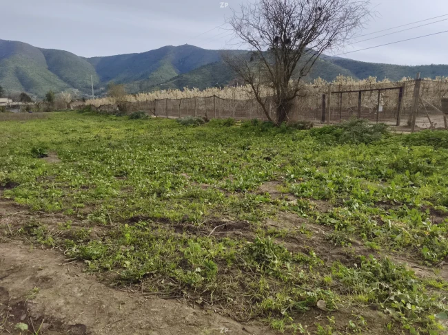 Terreno en callejon la encina, manantiales 