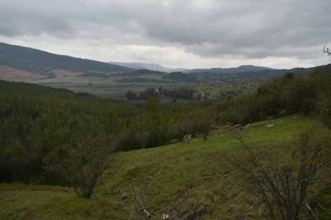 VENTA CAMPO LOS CRISTALES | 160 HECTÁREAS A SOLO 7 MINUTOS DE TALCA | 26.500 UF